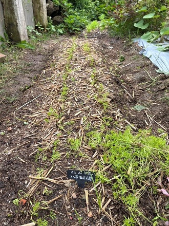 2025年10月上旬 2