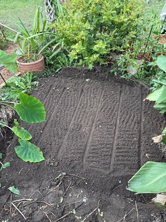 2025年10月下旬 2