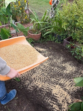 2025年10月下旬 3