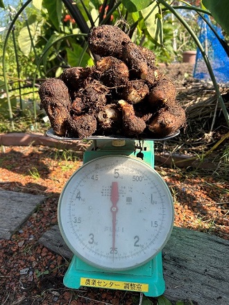 2025年11月中旬 3