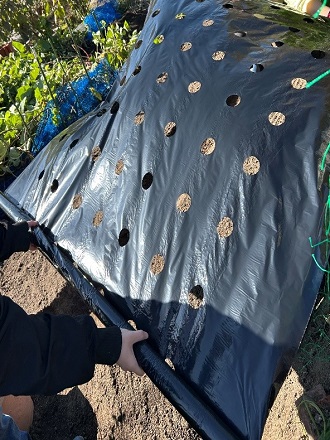 2025年11月中旬 2