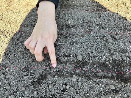 2025年11月中旬 3