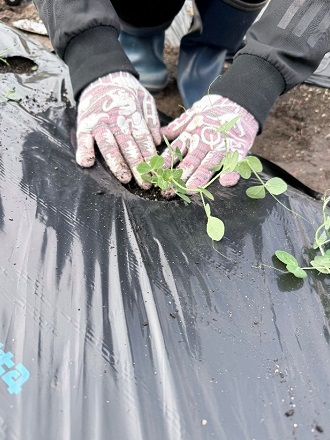 2025年12月下旬 3