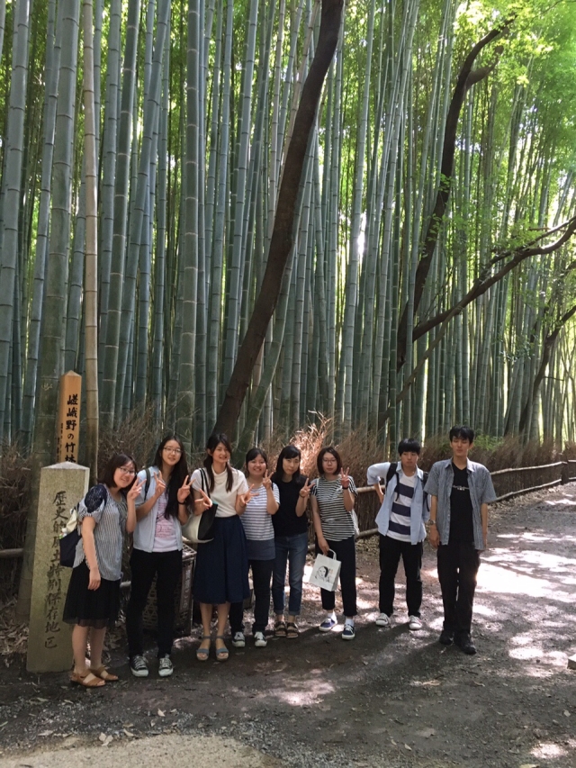 　嵯峨野の竹林：中国からの団体観光客の方々と多くすれ違いましたが、本当に海外からの観光客が多くてびっくり。たくさん歩きました。