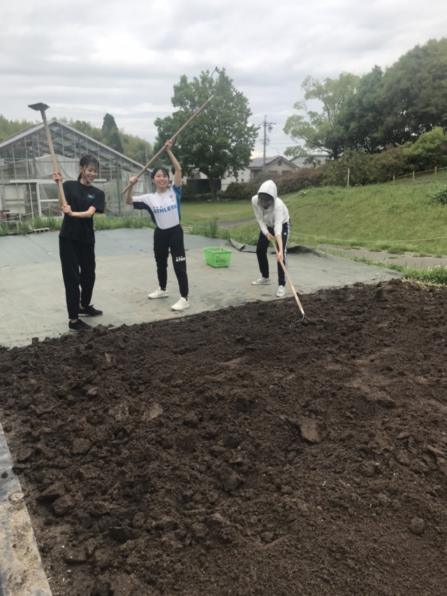 畑を耕す学生達。次の日はみんな筋肉痛！