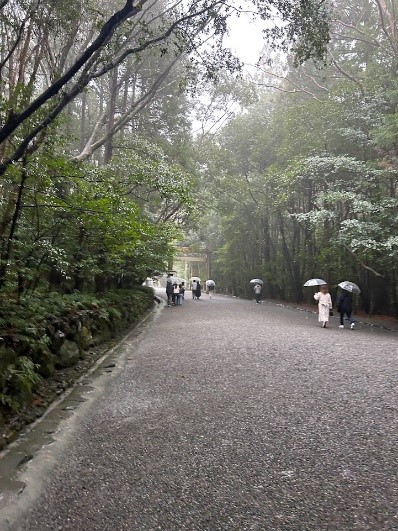 参道の一コマ　
雨が強く霧のように見えていました。