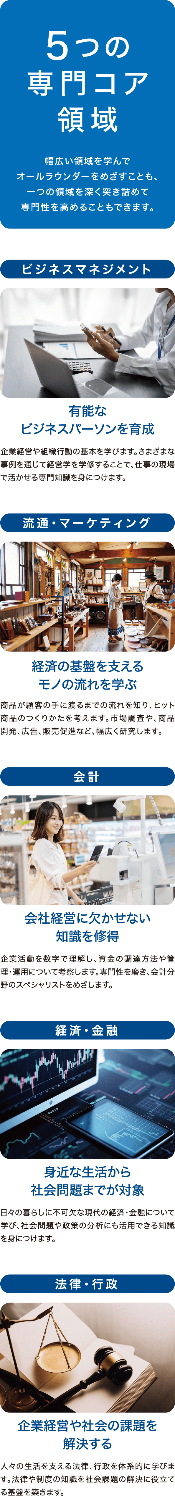 5つの専門コア領域を説明する画像