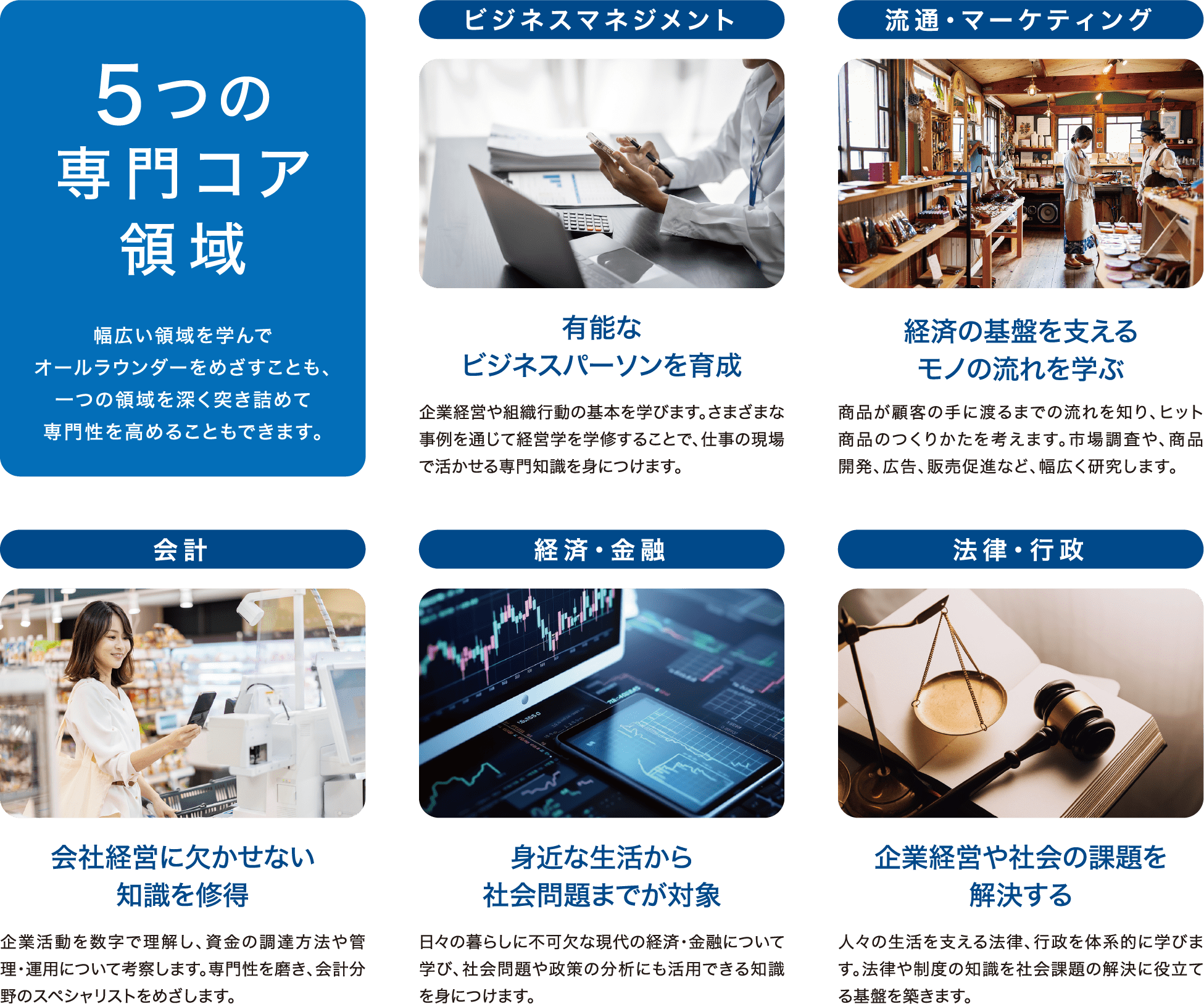 5つの専門コア領域を説明する画像