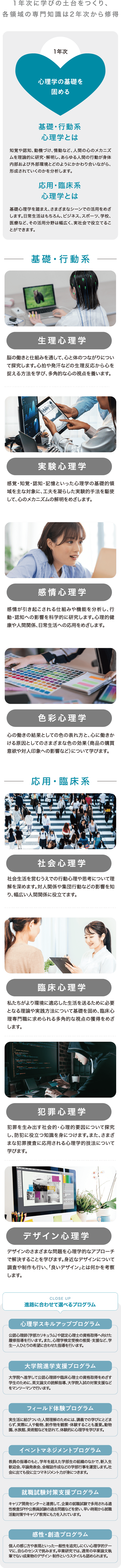 心理学部で学べる領域を説明する画像