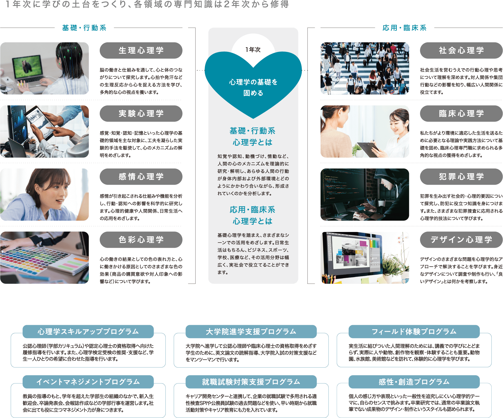 心理学部で学べる領域を説明する画像