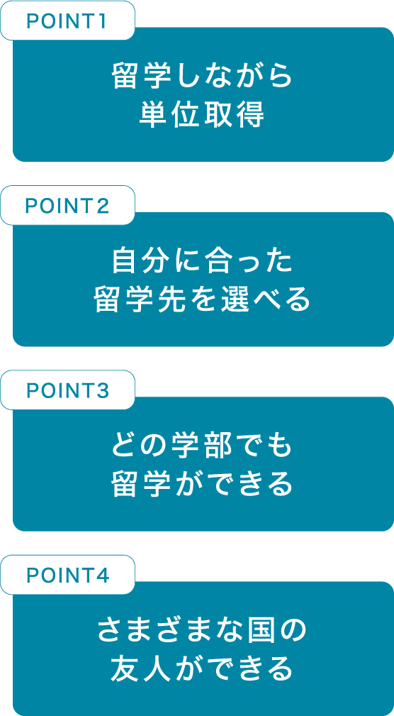 留学のポイントを説明する画像