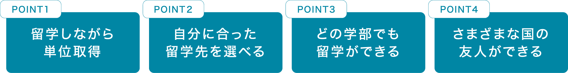 留学のポイントを説明する画像