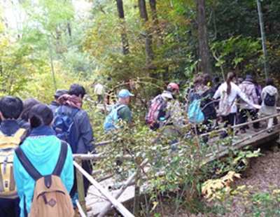 里山の自然が残る相生山緑地を歩きました。