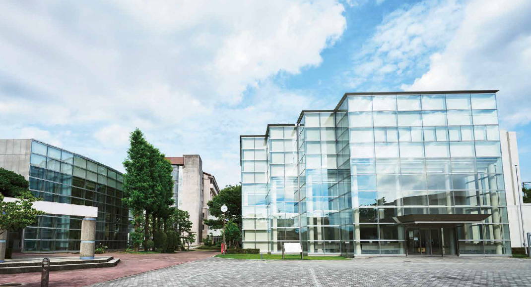 4年間の学びの流れ